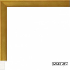 Пластиковый багет PA20-1-1 (тип: плоский; размер: 20x27 мм; цвет: золотой)