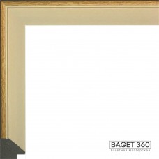 Пластиковый багет PL25-3-1 (тип: классический; размер: 25x30 мм)