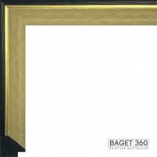 Пластиковый багет PL25-3-5 (тип: классический; размер: 25x30 мм; цвет: золотой)