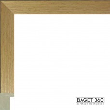 Пластиковый багет PL25-4-3 (тип: коробочка; размер: 25x50 мм)