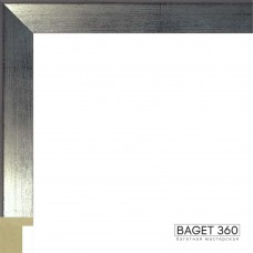 Пластиковый багет PL25-4-4 (тип: коробочка; размер: 25x50 мм)