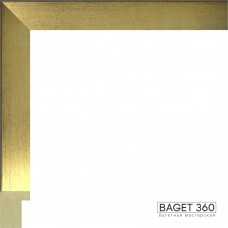 Пластиковый багет PL25-4-5 (тип: коробочка; размер: 25x50 мм)