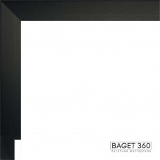 Пластиковый багет PL25-4-9 (тип: коробочка; размер: 25x50 мм; цвет: черный)