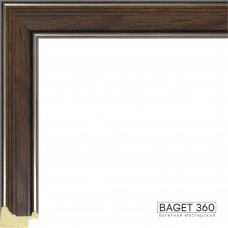 Пластиковый багет PL25-5-2 (тип: классический; размер: 25x18 мм)