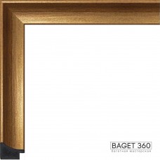 Пластиковый багет PL30-10-4 (тип: классический; размер: 30x27 мм; цвет: золотой)