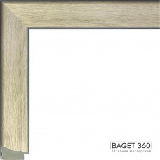 Пластиковый багет PL32-1-2 (тип: плоский; размер: 32x20 мм)