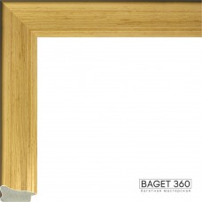 Пластиковый багет PL32-1-4 (тип: плоский; размер: 32x20 мм)