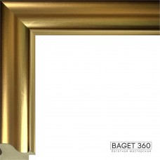 Пластиковый багет PL40-4-5 (тип: классический; размер: 40x29 мм; цвет: золотой)