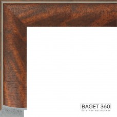 Пластиковый багет PL55-4-3 (тип: классический; размер: 55x20 мм)