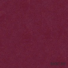 Паспарту PAS-V-37-29 (цвет: вишневый; покрытие: бархат; качество: стандартное)