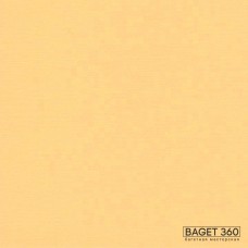Паспарту PAS-V-41-140 (цвет: жёлто-золотой; цвет среза: белый; покрытие: стандарт; качество: стандартное)