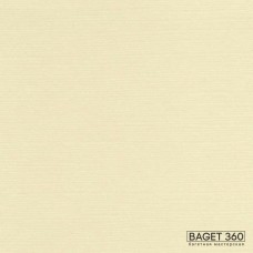 Паспарту PAS-V-41-163 (цвет: банана мания; цвет среза: белый; покрытие: стандарт; качество: стандартное)