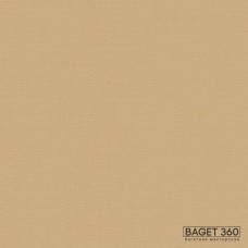 Паспарту PAS-V-41-165 (цвет: жёлто-коричневый; цвет среза: белый; покрытие: стандарт; качество: стандартное)