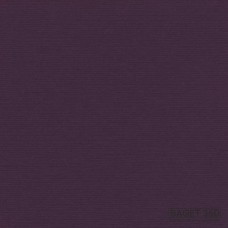 Паспарту PAS-V-41-168 (цвет: тёмный пурпурно-синий; цвет среза: белый; покрытие: стандарт; качество: стандартное)