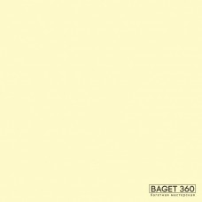 Паспарту PAS-V-41-172 (цвет: бледный зеленовато-жёлтый; цвет среза: белый; покрытие: стандарт; качество: стандартное)