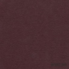 Паспарту PAS-V-41-182 (цвет: пурпурно-фиолетовый; цвет среза: белый; покрытие: стандарт; качество: стандартное)
