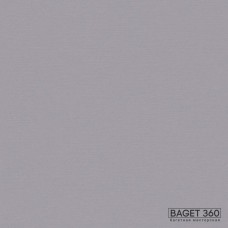 Паспарту PAS-V-41-184 (цвет: серебристо-серый; цвет среза: белый; покрытие: стандарт; качество: стандартное)