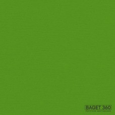 Паспарту PAS-V-41-188 (цвет: майский зелёный; цвет среза: белый; качество: стандартное)