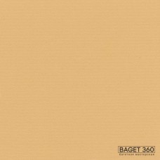 Паспарту PAS-V-41-63 (цвет: песочно-жёлтый; цвет среза: белый; покрытие: стандарт; качество: стандартное)