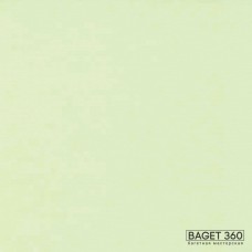 Паспарту PAS-V-41-93 (цвет: очень светлый желтовато-зелёный; цвет среза: белый; покрытие: стандарт; качество: стандартное)