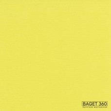 Паспарту PAS-V-41-94 (цвет: незрелый жёлтый; цвет среза: белый; покрытие: стандарт; качество: стандартное)