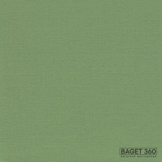 Паспарту PAS-V-41-95 (цвет: умеренный весенний зелёный; цвет среза: белый; покрытие: стандарт; качество: стандартное)
