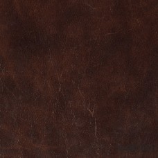 Паспарту PAS-V-46-5 (цвет: фактура кожи черепаховая кость; цвет среза: черный; покрытие: кожа; качество: стандартное)