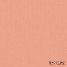 Паспарту PAS-V-57-10 (цвет: умеренный розовый; цвет среза: черный; покрытие: стандарт; качество: стандартное)