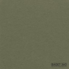 Паспарту PAS-V-63-10 (цвет: умеренный оливково-зелёный; цвет среза: кипельно белый; покрытие: стандарт; качество: стандартное)
