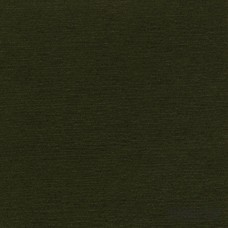 Паспарту PAS-V-65-14 (цвет: сероватый оливково-зелёный; цвет среза: кипельно белый; покрытие: стандарт; качество: стандартное)